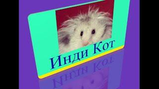 673 уровень   Инди кот