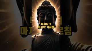 부처님의 마지막 가르침 #불교 #부처님 #불교입문 #불교이야기 #불교용어 #불교지식 #불교교리 #화엄경 #유마경 #지식