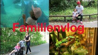 Familienvlog | Zoobesuch | Lieblingsnudeln | LUMELOWU