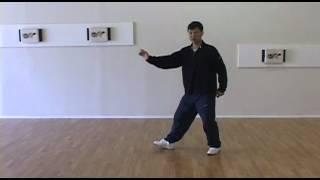 Yang Family Tai Chi Step Back Repulse Monkey