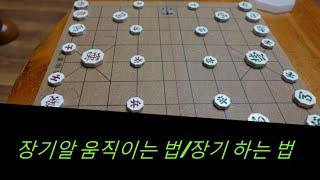장기알 움직이는 방법 / 장기 두는 방법
