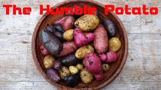 Potatoes: A Most Versatile Tuber