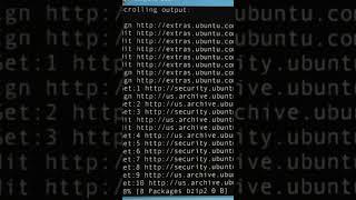 Windows vs Kali