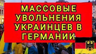 БЕЖЕНЦЕВ  НАЧАЛИ  МАССОВО  УВОЛЬНЯТЬ В ЕВРОПЕ !! КАК ПО КОМАНДЕ !!