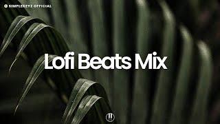 Lofi Beats Mix [chill lo-fi hip hop beats]