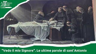 "Vedo il mio Signore". Le ultime parole di sant'Antonio