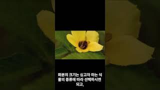 초보자를 위한 홈 가드닝 가이드