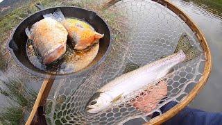 Fast Action FLY FISHING for RAINBOW TROUT!! - Catch & Cook