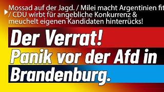 Wer hat verraten? Nicht ganz, diesmal ward's der Christdemokrat. / Argentinien machts der Ampel vor.