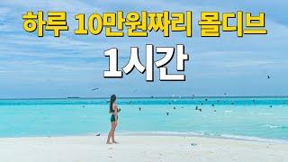  절대 비쌀 필요 없는, 5일간의 몰디브 여행 1시간 몰아보기