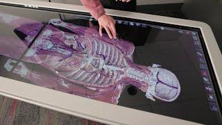 Kinesiology @ Miami: Where Science Meets Hands-on Experience