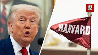Trump says Harvard is ‘getting their ass kicked,’ suggests 15% cap on foreign students