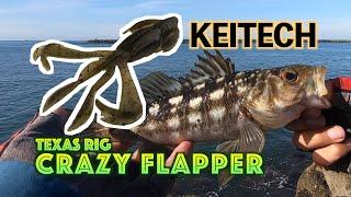 Texas rig w/ Crazy Flapper on the Jetty [Hot to tips]