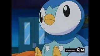 Piplup's Cute Moments