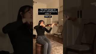 Cheap vs Expensive violin...#shorts