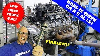 FULL 6.0L DYNO RESULTS. HOW MUCH HP DOES THE LOW BUCK TRUCK CAM MAKE? IS IT THE BEST 6.0L LS CAM?