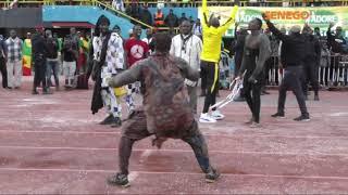 les meilleurs touss dans l'arene senegalaise