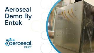 Aeroseal Demo by Entek