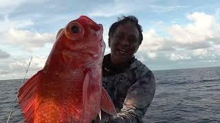 2023 Jigging Master Premium Fishing Style opening