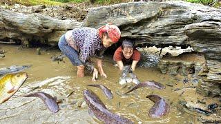 90 days helping my mother build buffalo barns and clean fish ponds | farm building / Ban Thi Diet