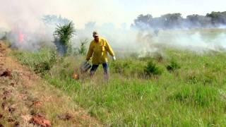 Prescribed Burning: Controlling Brush