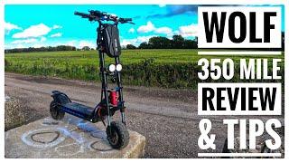 Kaabo Wolf Warrior 11 // My 350 Mile Review & Owner Tips