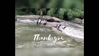 Tapasya Home stay in Coorg video