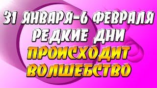 31 января - 6 февраля Редкие дни - происходит волшебство