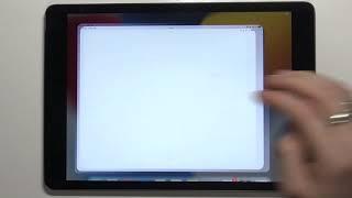 Где находятся скачанные фото / видео на iPad 10.2 (2021) – папка загрузки на iPad 10.2 (2021)