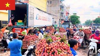 Chợ Vải Phố Kim 18/6/2025: Chợ Mua Bán Tổng Hợp Các Loại Vải Sầm Uất Nhất Lục Ngạn.