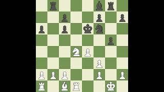 Grecescu, Gabriel Andrei VS Marincas, Vlad