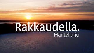 Oikea paikka monelle || RAKKAUDELLA, MÄNTYHARJU