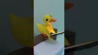 When you left your door open!  #shorts #funny #duck