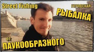 Street Fishing - Городская рыбалка от ПАУКООБРАЗНОГО :) | Немного из жизни...