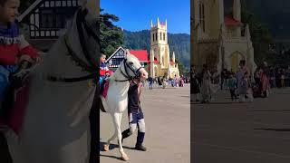  Shimla Tourist Activity  Short Video / Husn Pahadon ka #shorts #youtubeshortvideo #travelevergreen