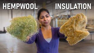 Is HempWool the Holy Grail of Sustainable Insulation?