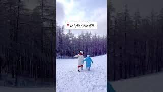 국내 겨울여행 -평창편   눈이 내린 대관령은 너무 아름다워서 안갈 수 없어요 !! 오늘 대관령 눈소식에 올려봅니다!!         #국내여행 #국내가볼만한곳 #겨울여행