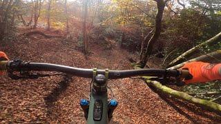 The Best Autumn Trails In The Surrey Hills?