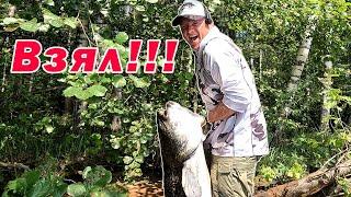 ТРОФЕЙНАЯ РЫБАЛКА!!! СОМ 45 КГ НА СПИННИНГ!!!