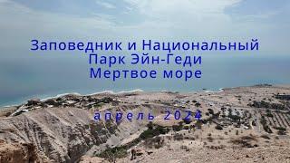 Национальный парк Эйн-Геди, Израиль, апрель 2024.