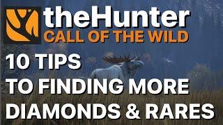 10 TIPS HOW TO Find More DIAMOND & RARE Animals on Hunter: Call of the Wild