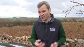 Cotswold Seeds - Forage Legumes: Difficult for Farmers to resist?