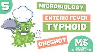 Microbiology | Typhoid: Pathogenesis, Clinical Manifestations, Lab Diagnosis, Treatment(OneShot)