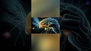 Мощнейшие Лайфаки Запоминания | Часть 1 #ранееобучение #бизнестренинги #бизнес  #интеллект #мозг