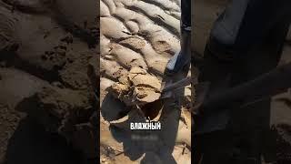 Клад в наследство  #наследство #клад #сокровища