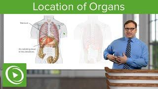  Locating Organs with Surface Landmarks: Do You Know Where Key Organs Are?