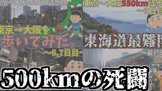 ひたすら歩いた500㎞の道のり。東京→大阪徒歩旅【総集編】