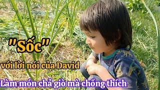 Cuộc Sống Mỹ - "Sốc" với lời nói của David | Cắt cỏ khu trồng tỏi| Làm Bờ Kè Bằng Bánh Xe