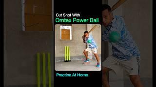 Cut Shot Practice At Home ️ #cricketshorts #practiceathome #cutshot #battingdrill #omtex #t20