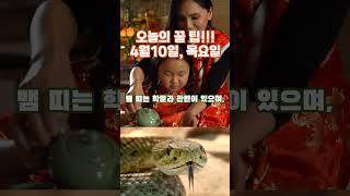 황호샘, 오늘의 꿀 팁!!! 4월 10일, 목요일, 꼭 보세요. 안보면 후회합니다. #운세 #사주 #운명이야기 #고전이야기 #사주명리학강의
